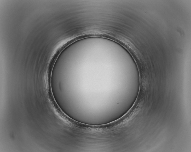 X0000112721030200909031413