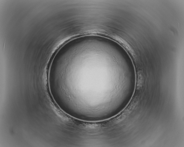 X0000112721031200909031413