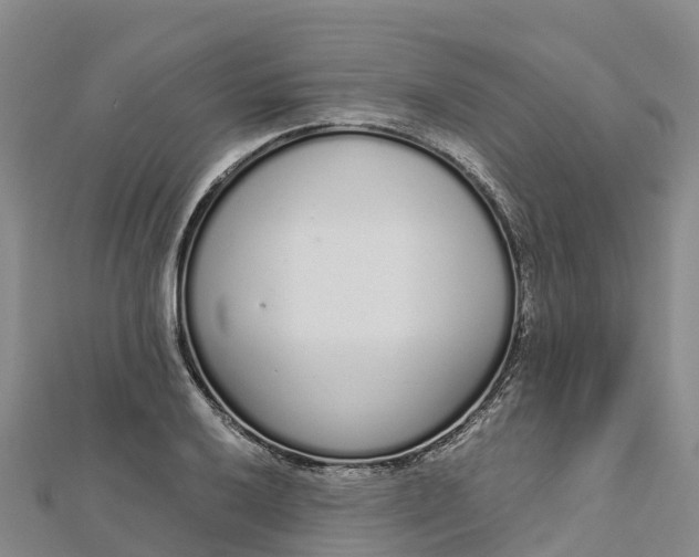 X0000112721032200909031413