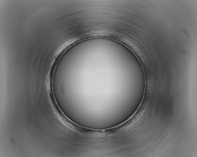 X0000112721034200909031413