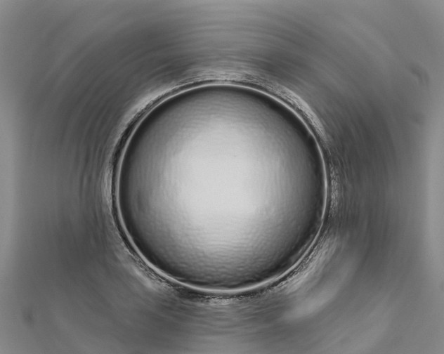 X0000112721035200909031413