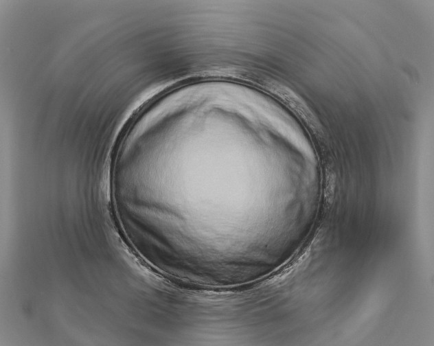 X0000112721036200909031413