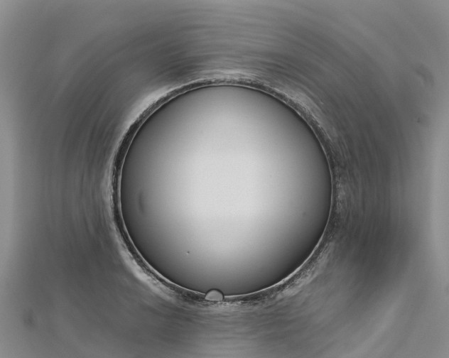 X0000112721038200909031413