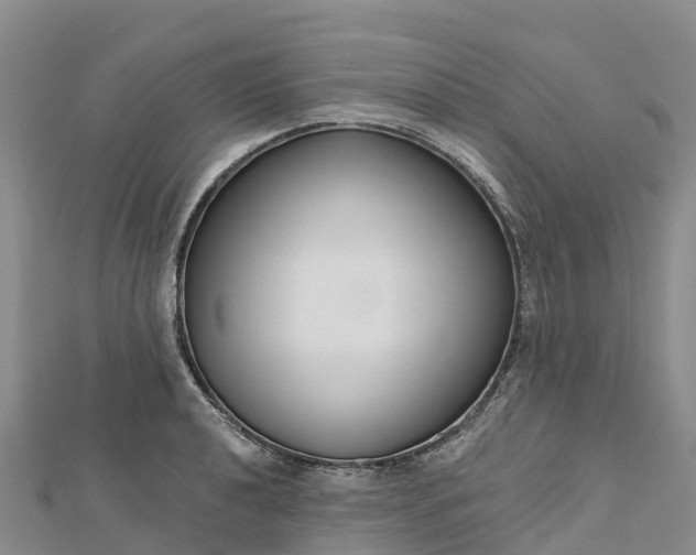 X0000112721040200909031413