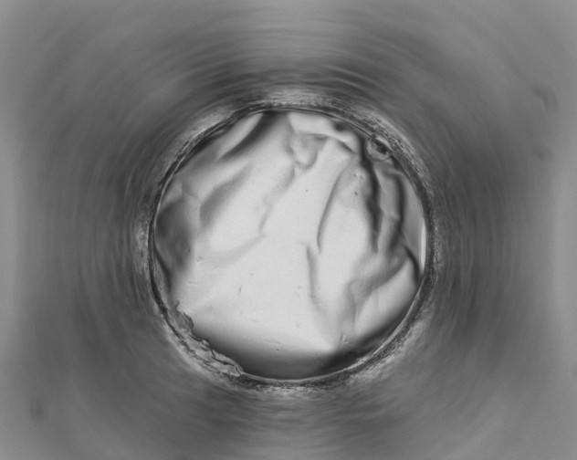 X0000112721041200909031413