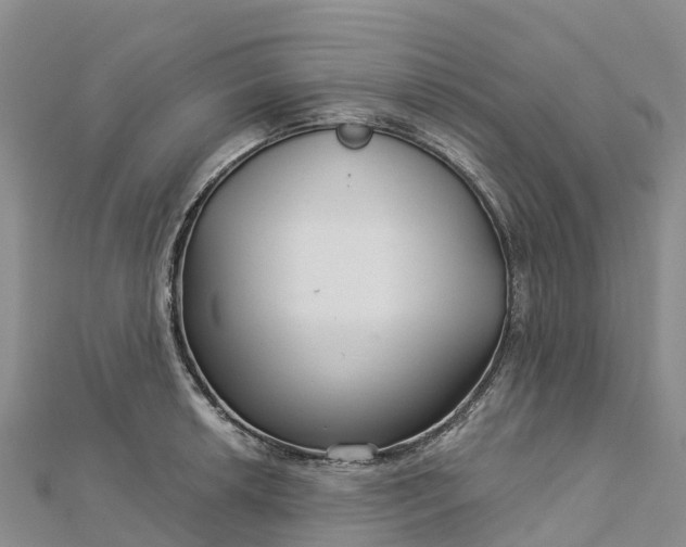 X0000112721042200909031413