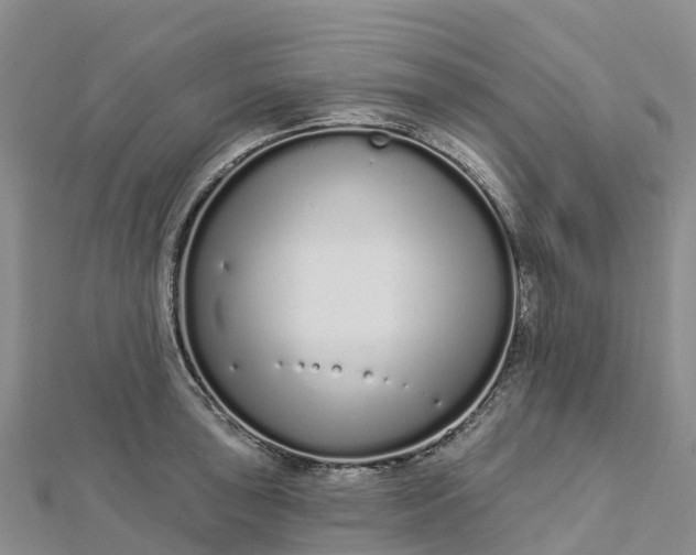 X0000112721043200909031413