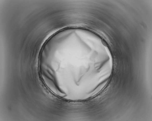 X0000112721044200909031413