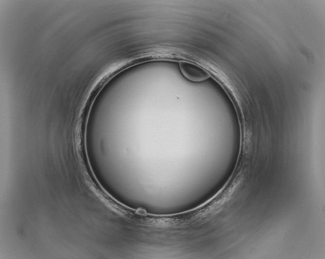 X0000112721045200909031413