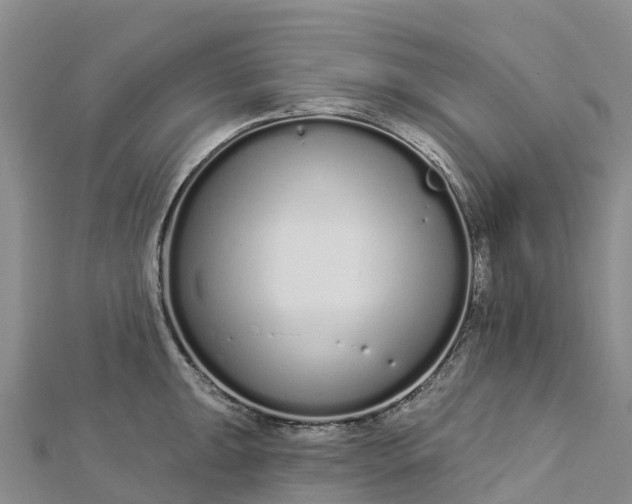 X0000112721047200909031413