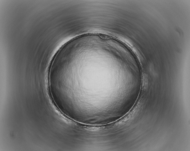 X0000112721048200909031413