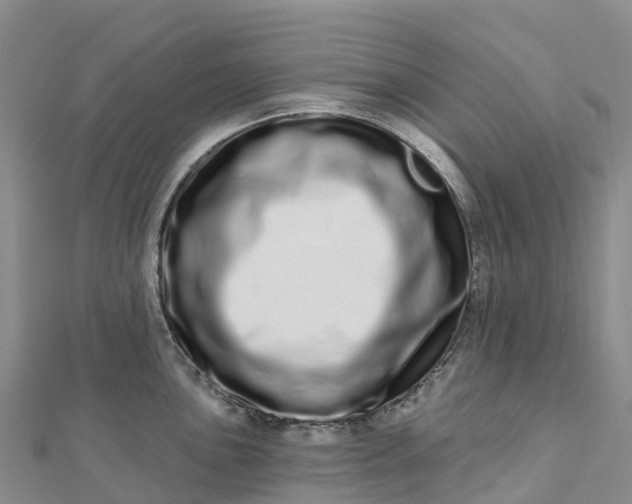 X0000112721051200909031413