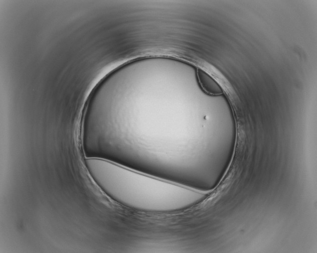 X0000112721052200909031413