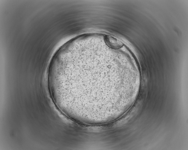 X0000112721053200909031413