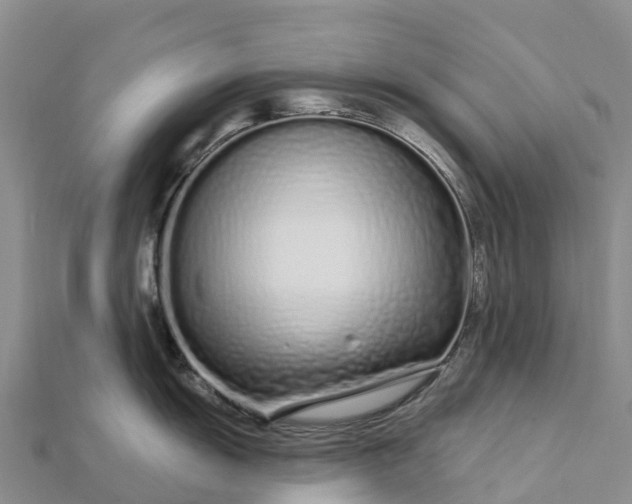 X0000112721055200909031413