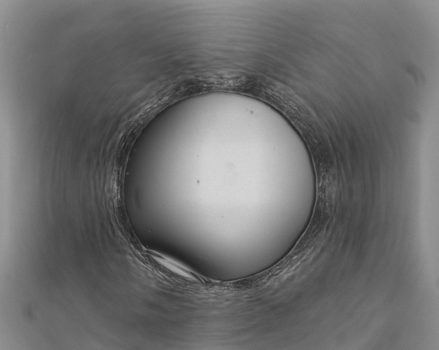 X0000112721058200909031412