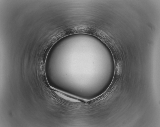 X0000112721059200909031412