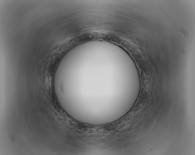 X0000112721061200909031412