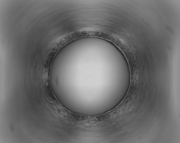 X0000112721062200909031412