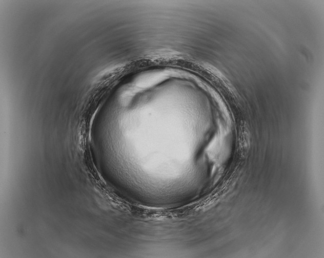 X0000112721063200909031412