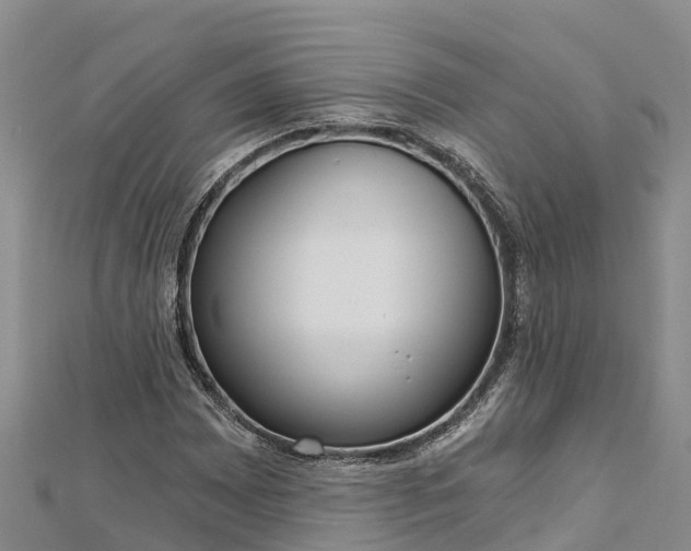 X0000112721065200909031412