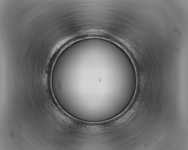 X0000112721066200909031412