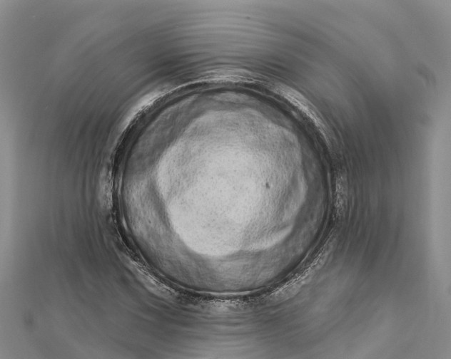 X0000112721067200909031412