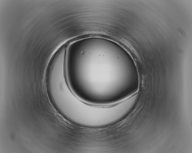 X0000112721068200909031412