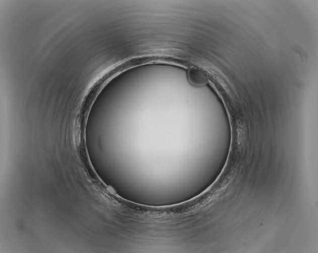 X0000112721069200909031412