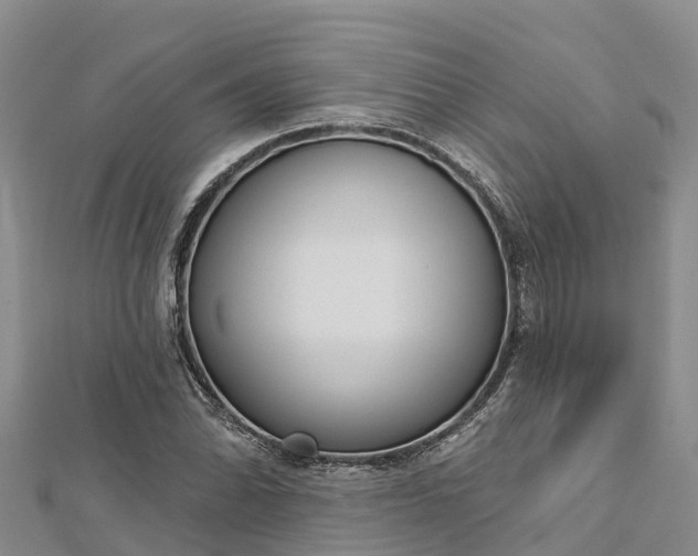 X0000112721070200909031412