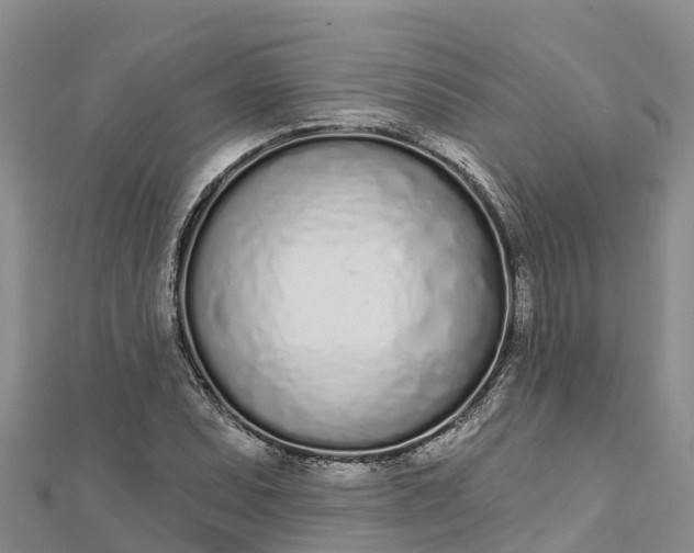 X0000112721071200909031412