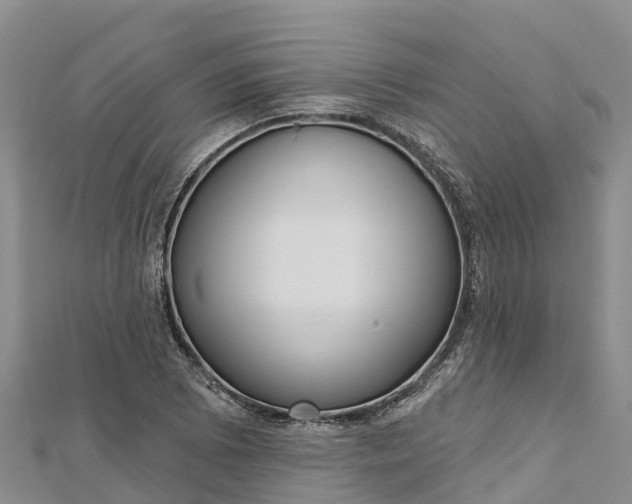 X0000112721073200909031412