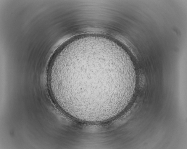 X0000112721074200909031412