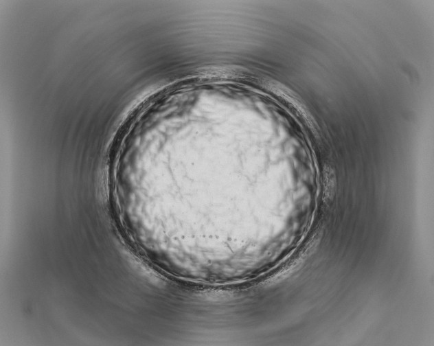 X0000112721075200909031412