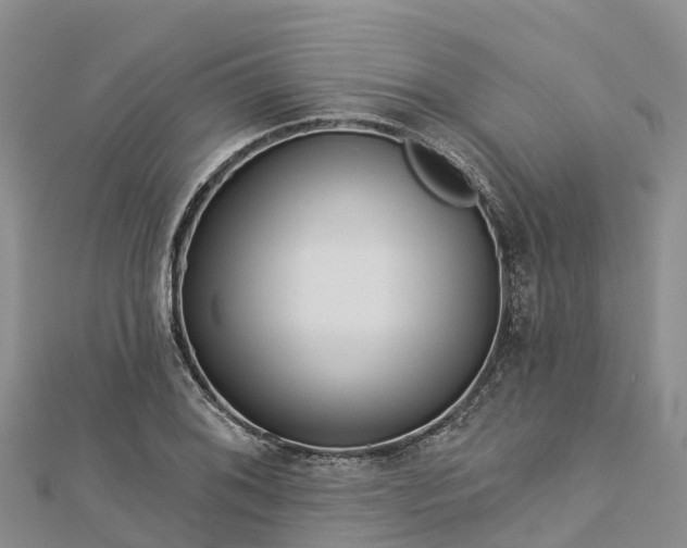 X0000112721076200909031412