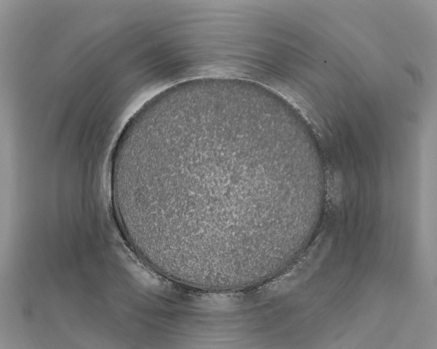 X0000112721078200909031412