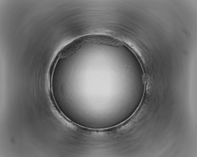 X0000112721080200909031412