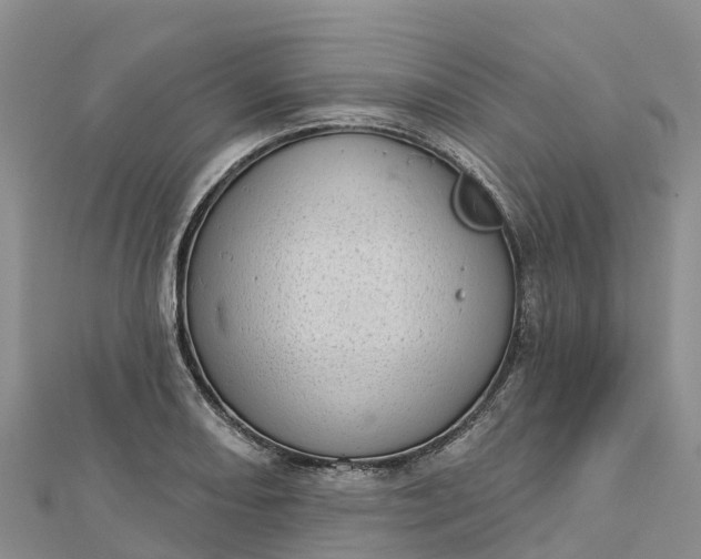 X0000112721082200909031412