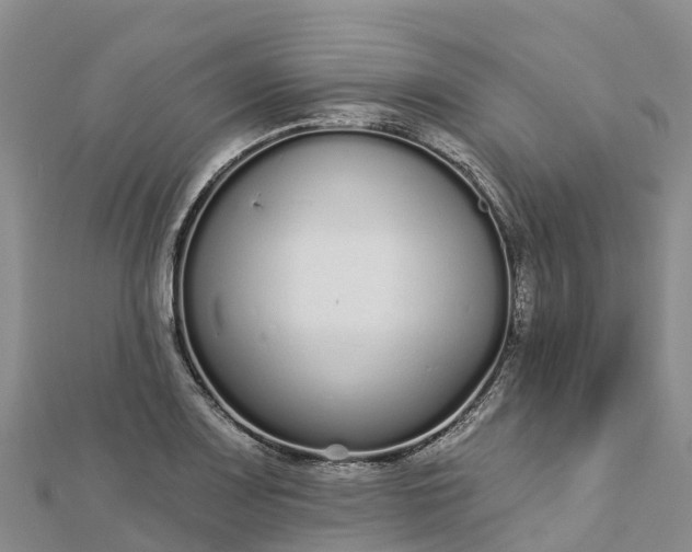 X0000112721083200909031412