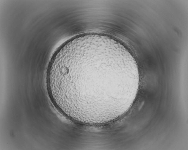 X0000112721086200909031412