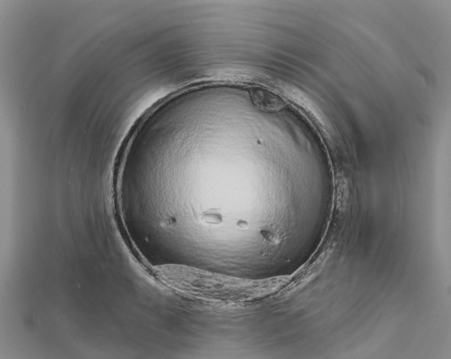 X0000112721087200909031412