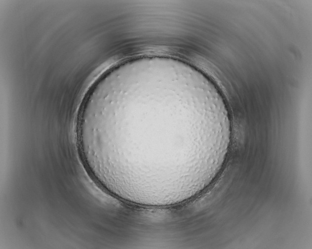 X0000112721090200909031412