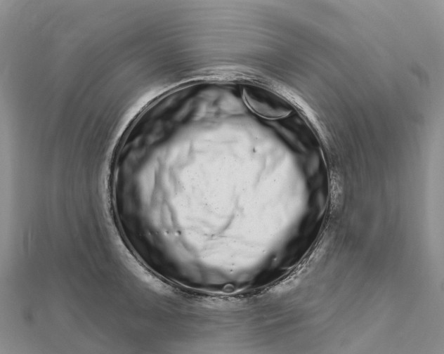 X0000112721091200909031412