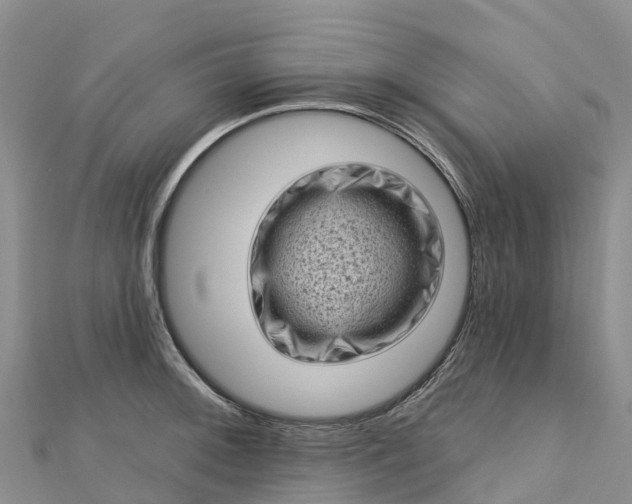 X0000112721092200909031412