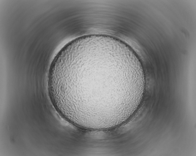 X0000112721094200909031412