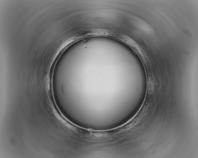 X0000112721095200909031412