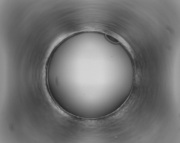 X0000112721096200909031412