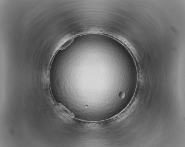 X0000112721097200909031412