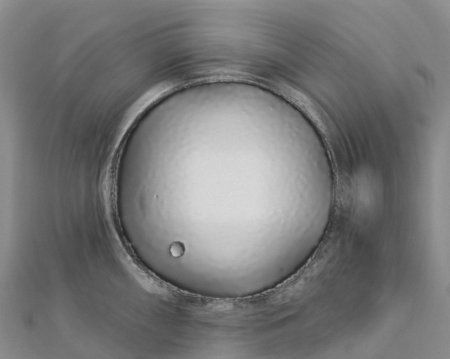 X0000112721098200909031412