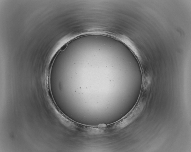 X0000112721101200909031412